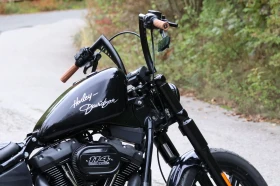 Harley-Davidson Softail Street Bob114 | Mobile.bg    4