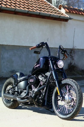     Harley-Davidson Softail Street Bob114