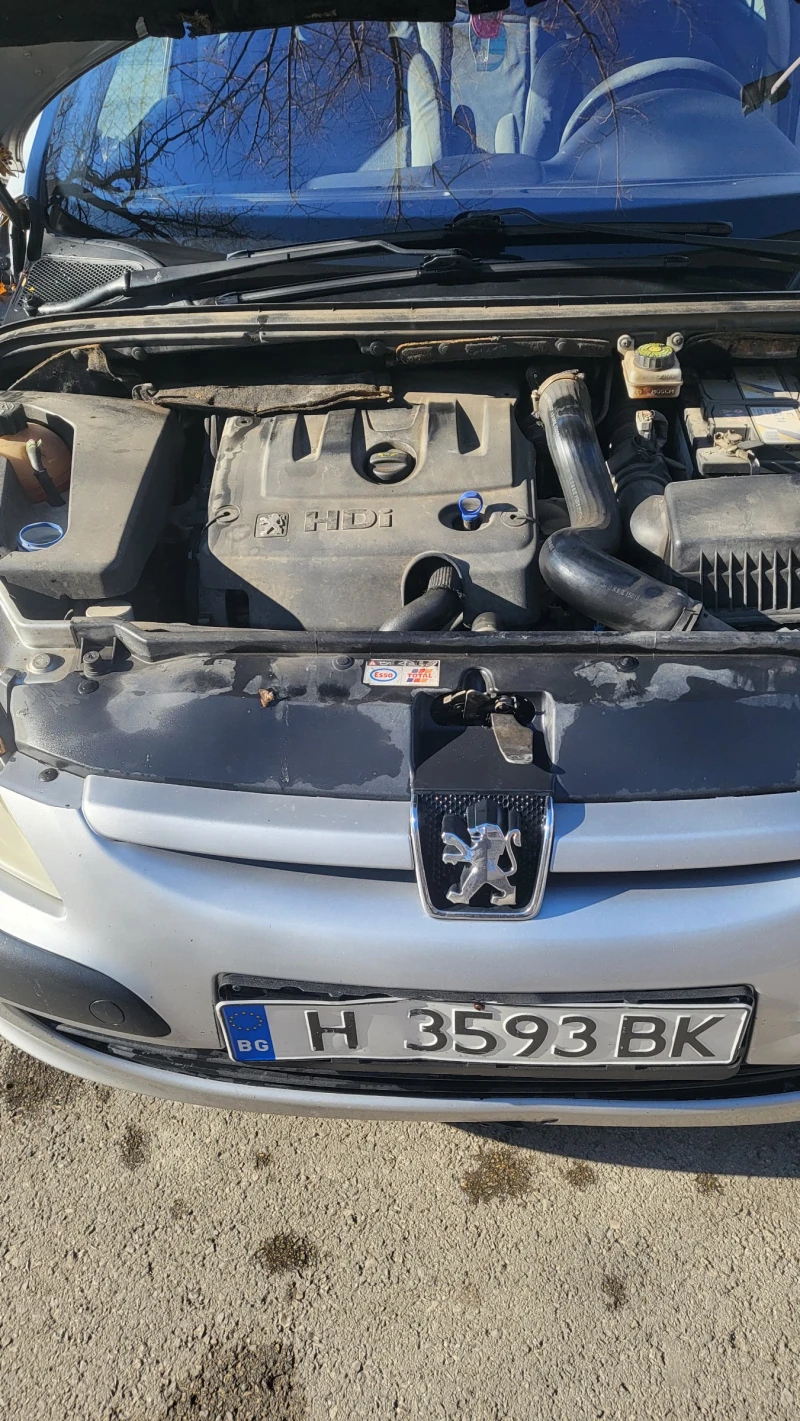 Peugeot 307 307, снимка 12 - Автомобили и джипове - 48413671