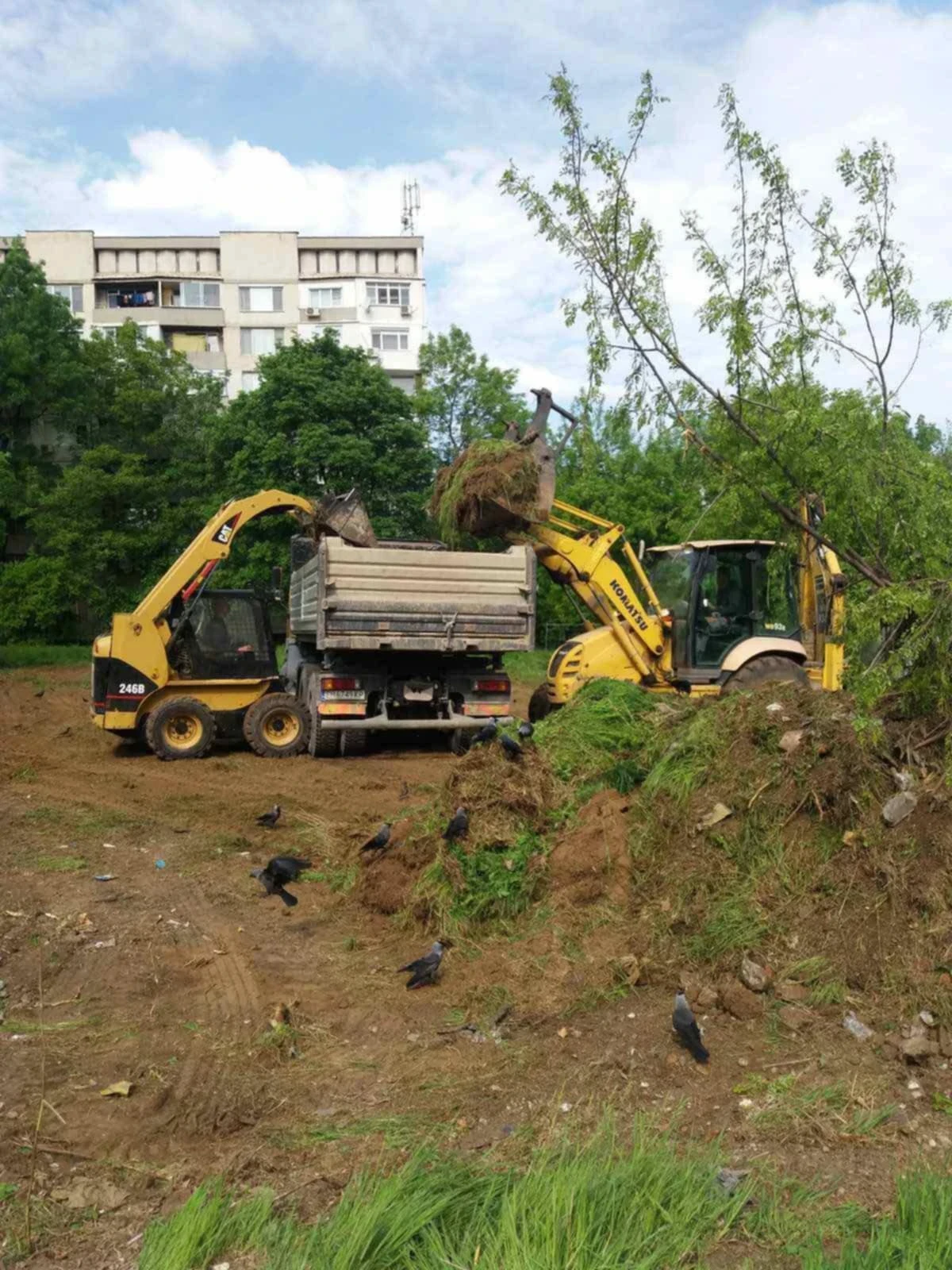 Мини челни товарачи Cat CATERPILLAR 246 B - изображение 4