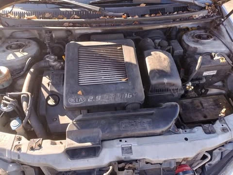 Kia Carnival, снимка 7 - Автомобили и джипове - 52891245