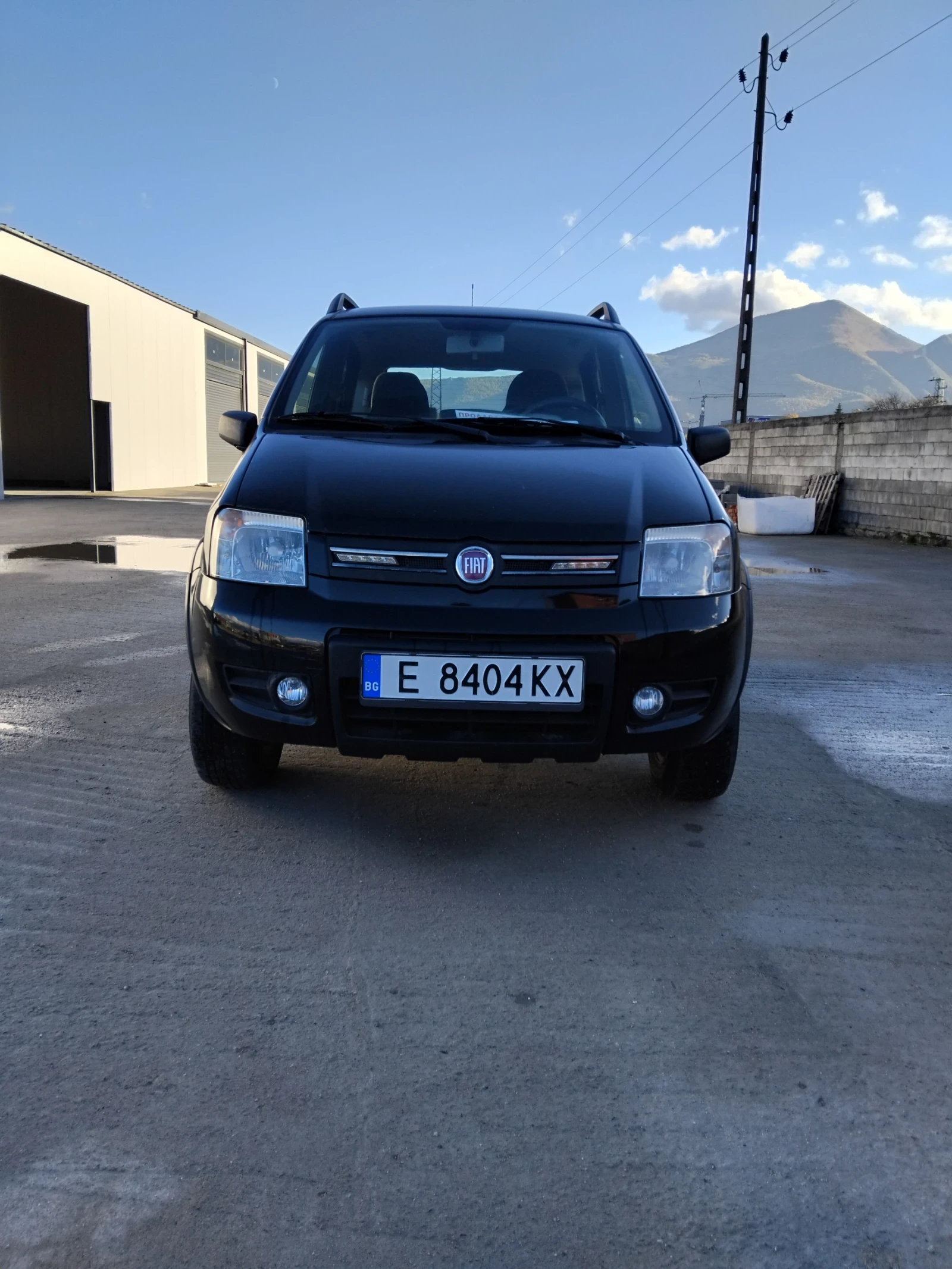 Fiat Panda 4x4 | Mobile.bg   1