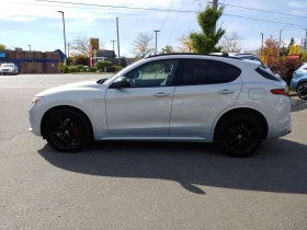 Alfa Romeo Stelvio * ФИКСИРАНА ЦЕНА * ПАНОРАМА* ДИСТРОНИК*  - 24650 € / 48211.21 лв. - 32850614 4
