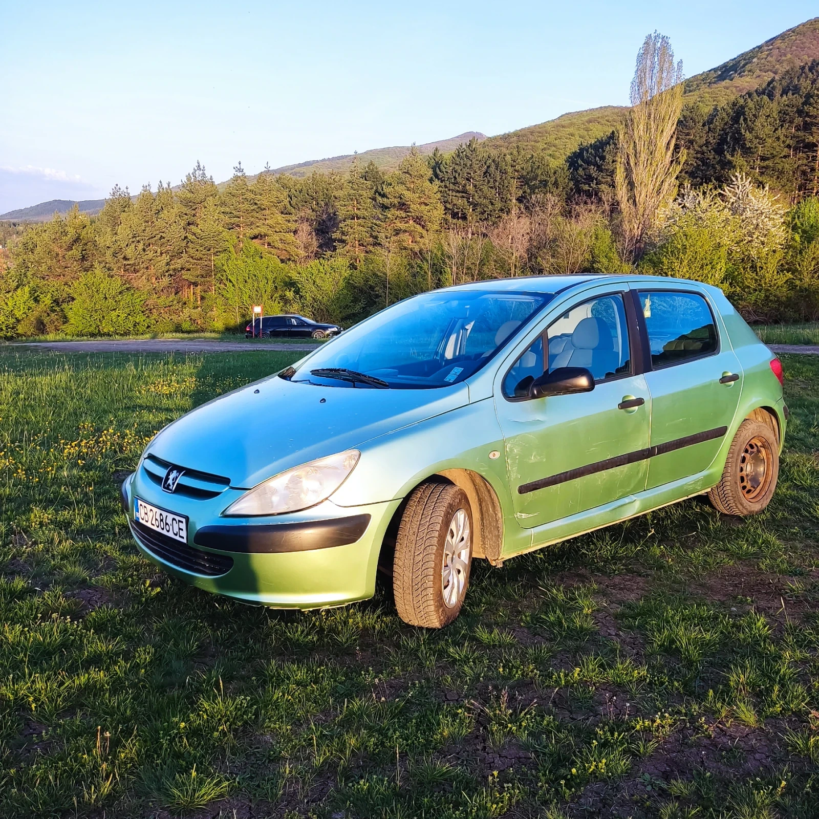 Peugeot 307, снимка 4 - Автомобили и джипове - 54347768