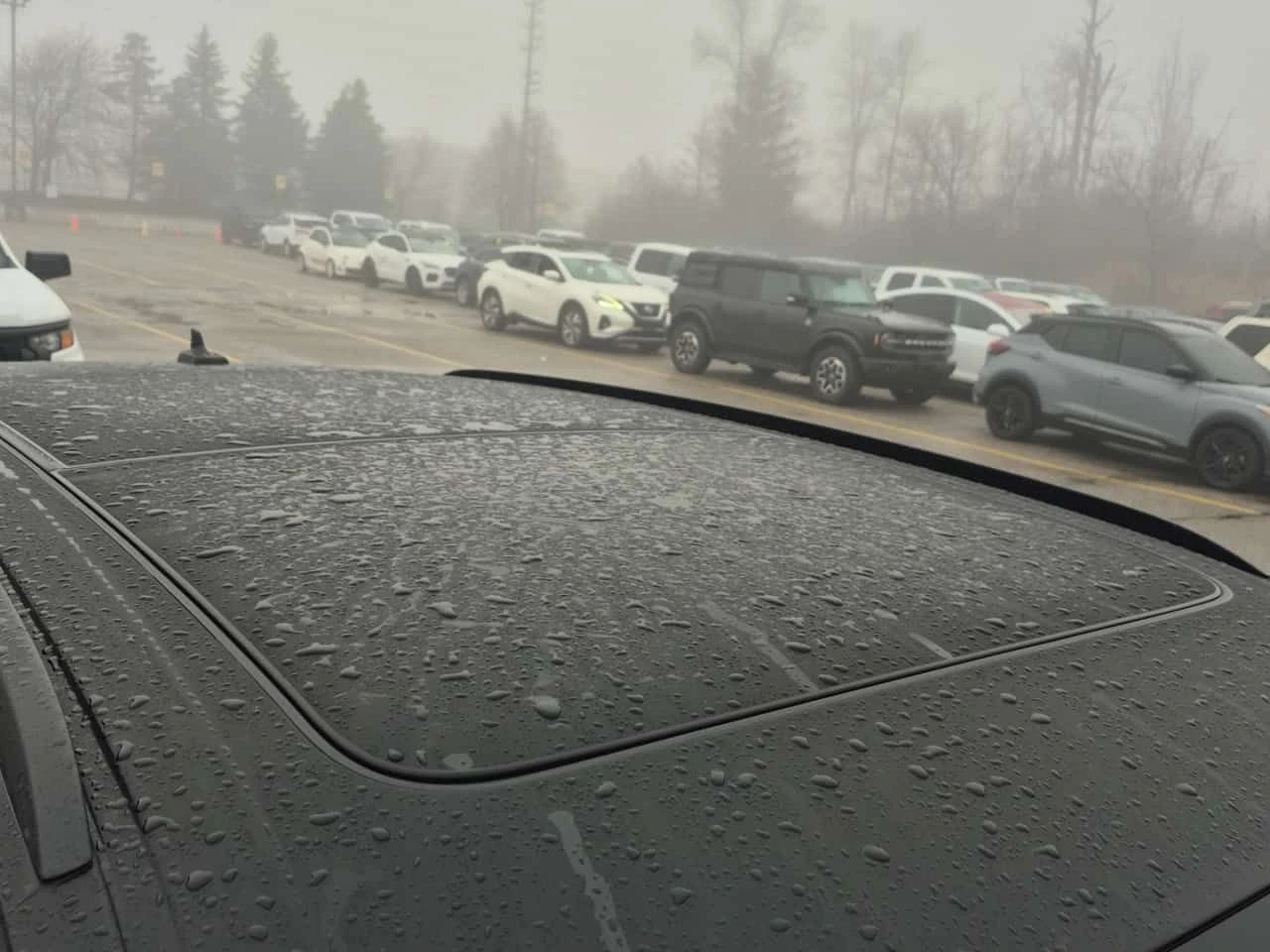 Audi SQ7 BANG & OLUFSEN| ОБДУХВАНЕ| PANO| 2 КЛЮЧА| , снимка 6 - Автомобили и джипове - 54228408