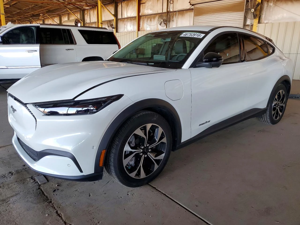 Ford Mustang Mach-E SELECT* �������* ���������* ������* ������ | Mobile.bg � ����������� 1