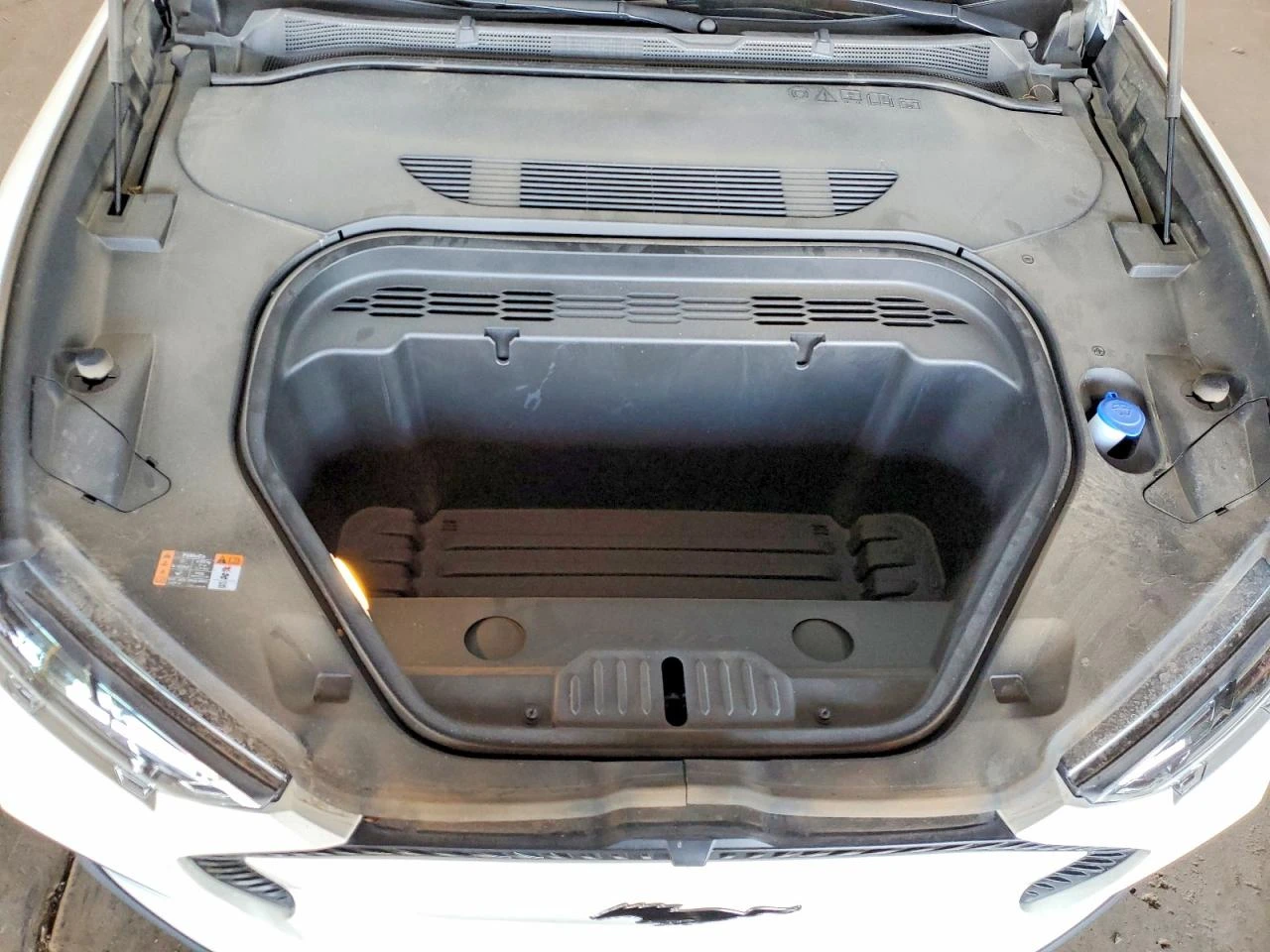 Ford Mustang Mach-E SELECT* �������* ���������* ������* ������ | Mobile.bg � ����������� 7