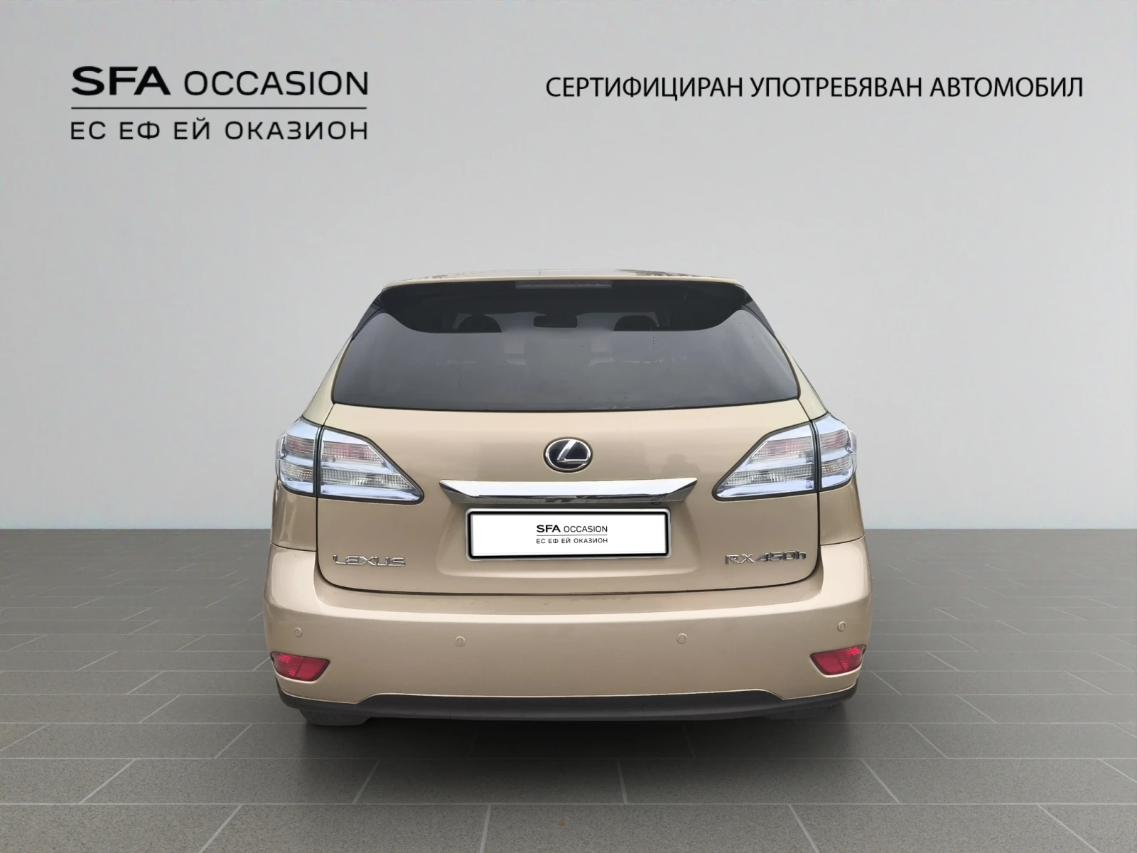 Lexus RX 450h 3.5 Hybrid 250HP BVA6 4X4 E5 - изображение 6