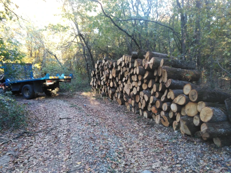 Gaz 3307, снимка 5 - Камиони - 53288668