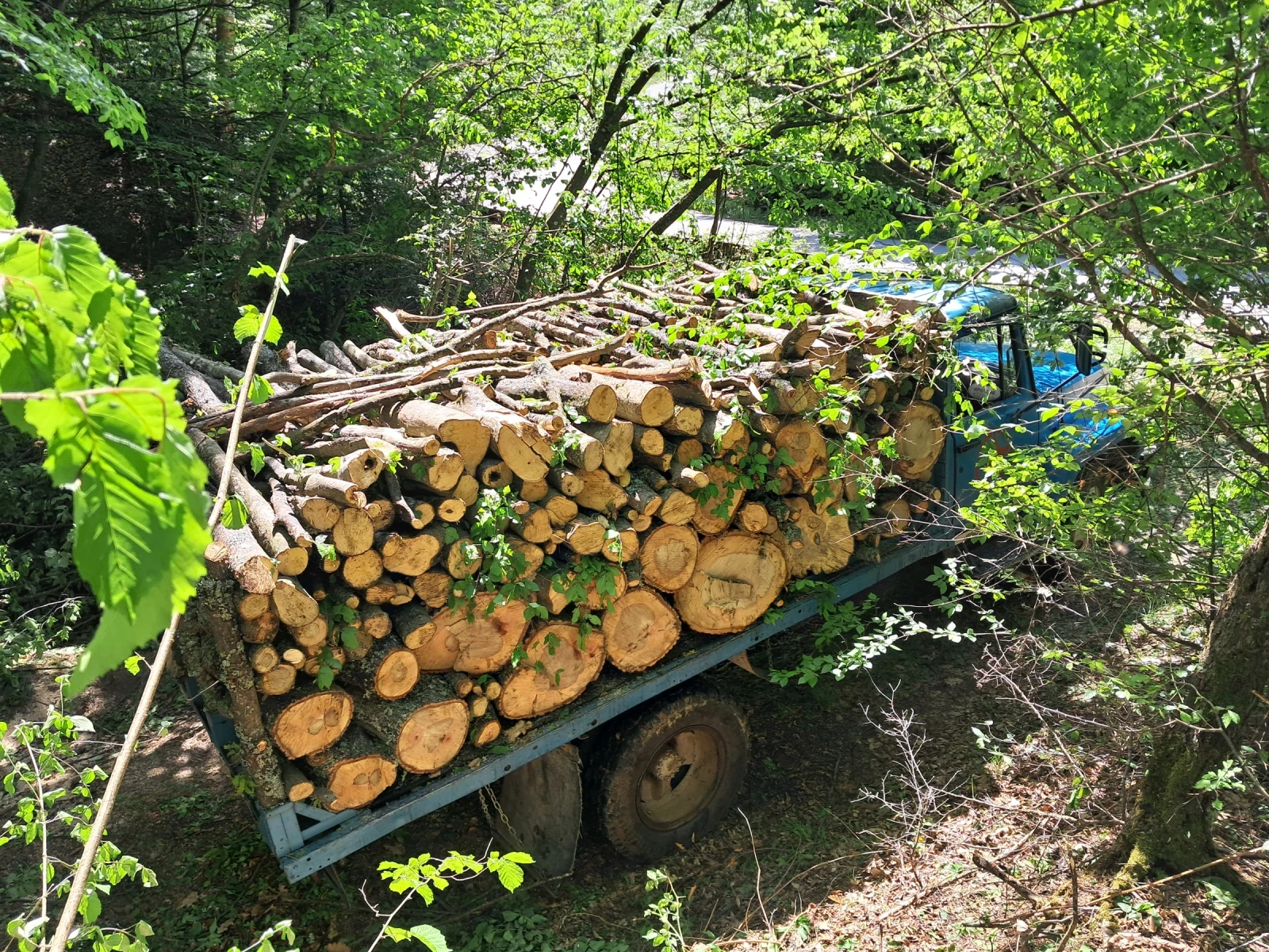 Gaz 3307 | Mobile.bg � ����������� 13