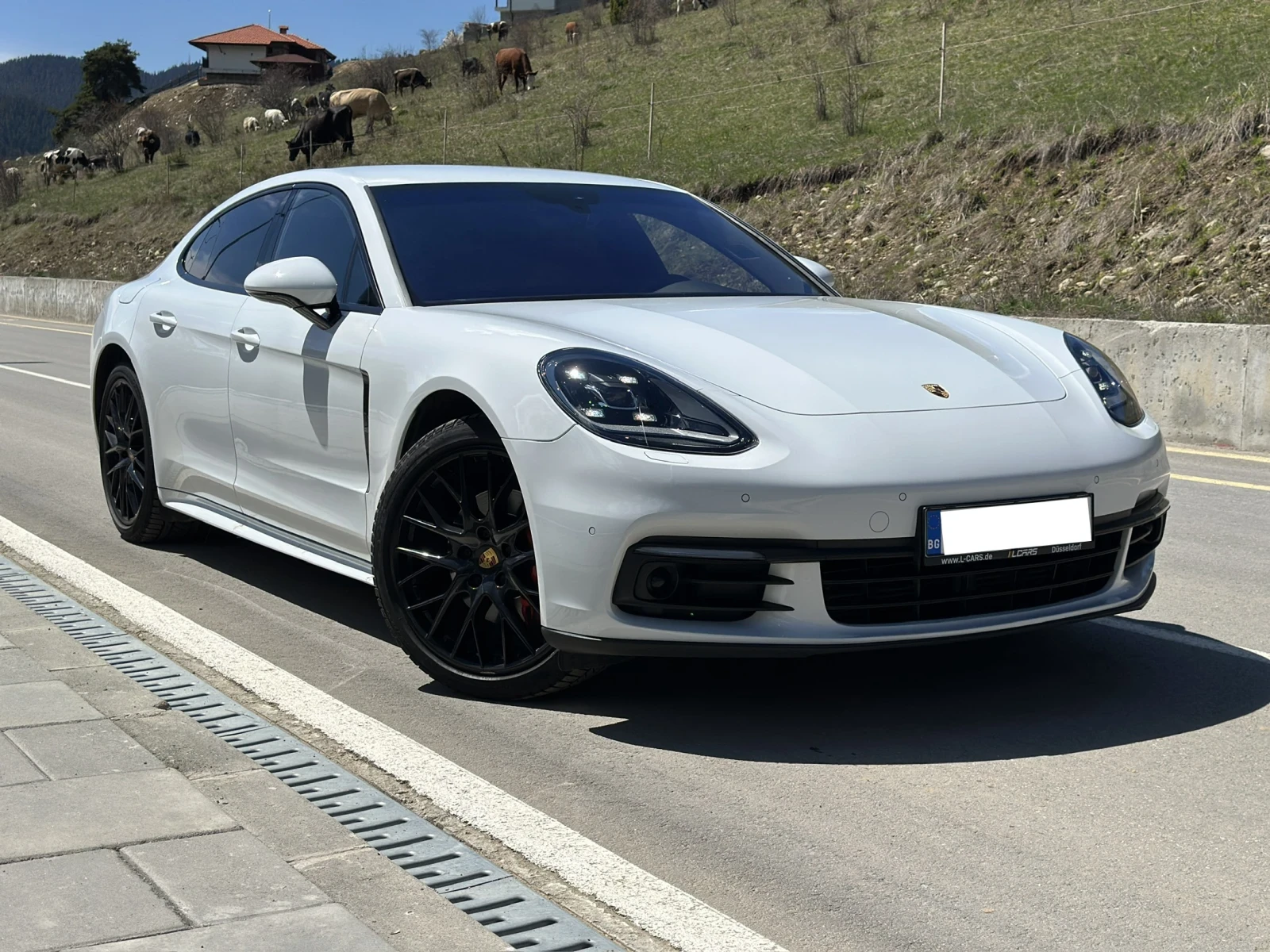 Porsche Panamera 4 Germany| Burmester| Сервизна книжка| Carbon| Обд