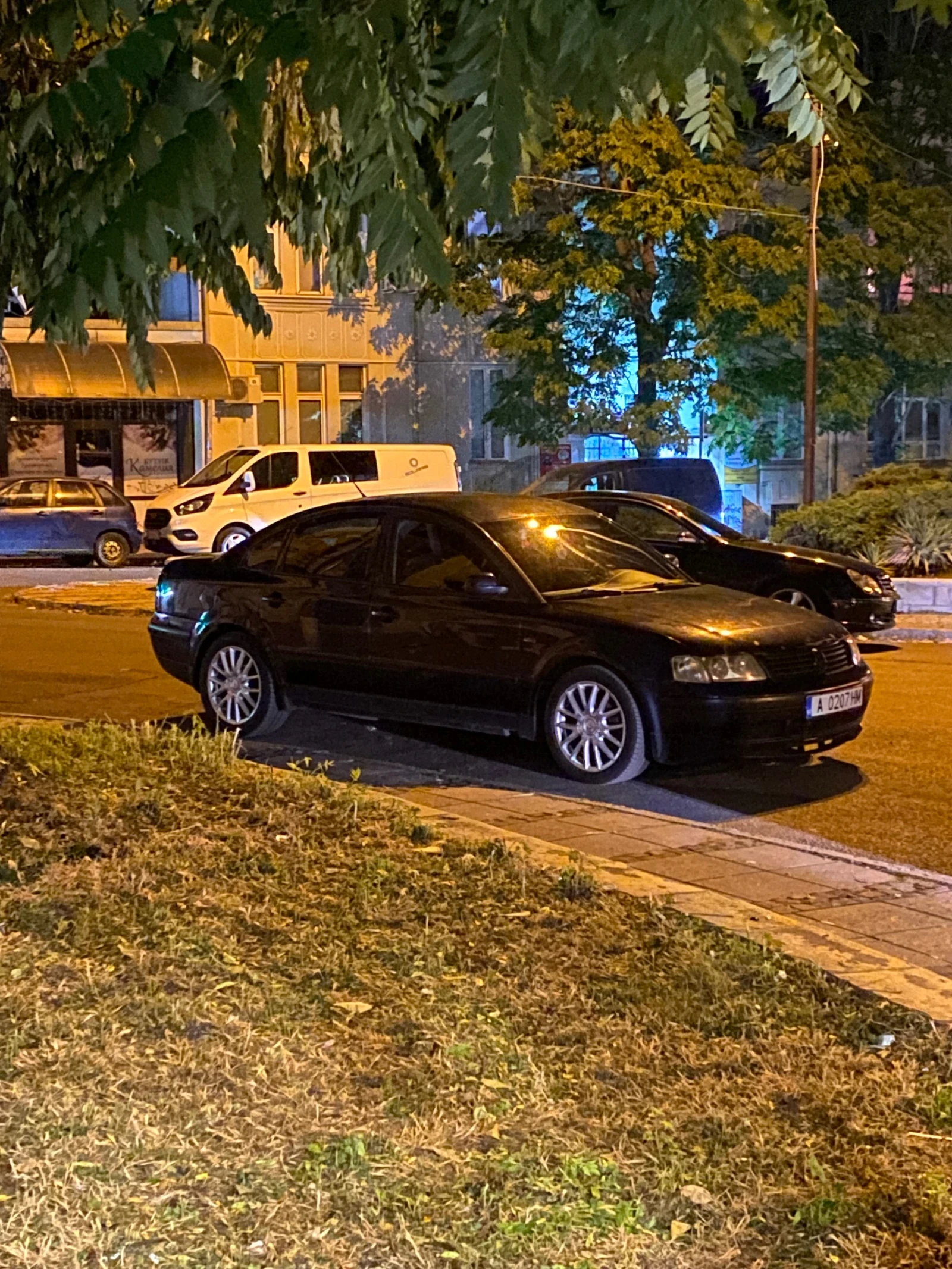 VW Passat  - изображение 2