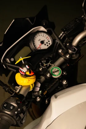 Yamaha FZ8 | Mobile.bg � ����� ������ 15