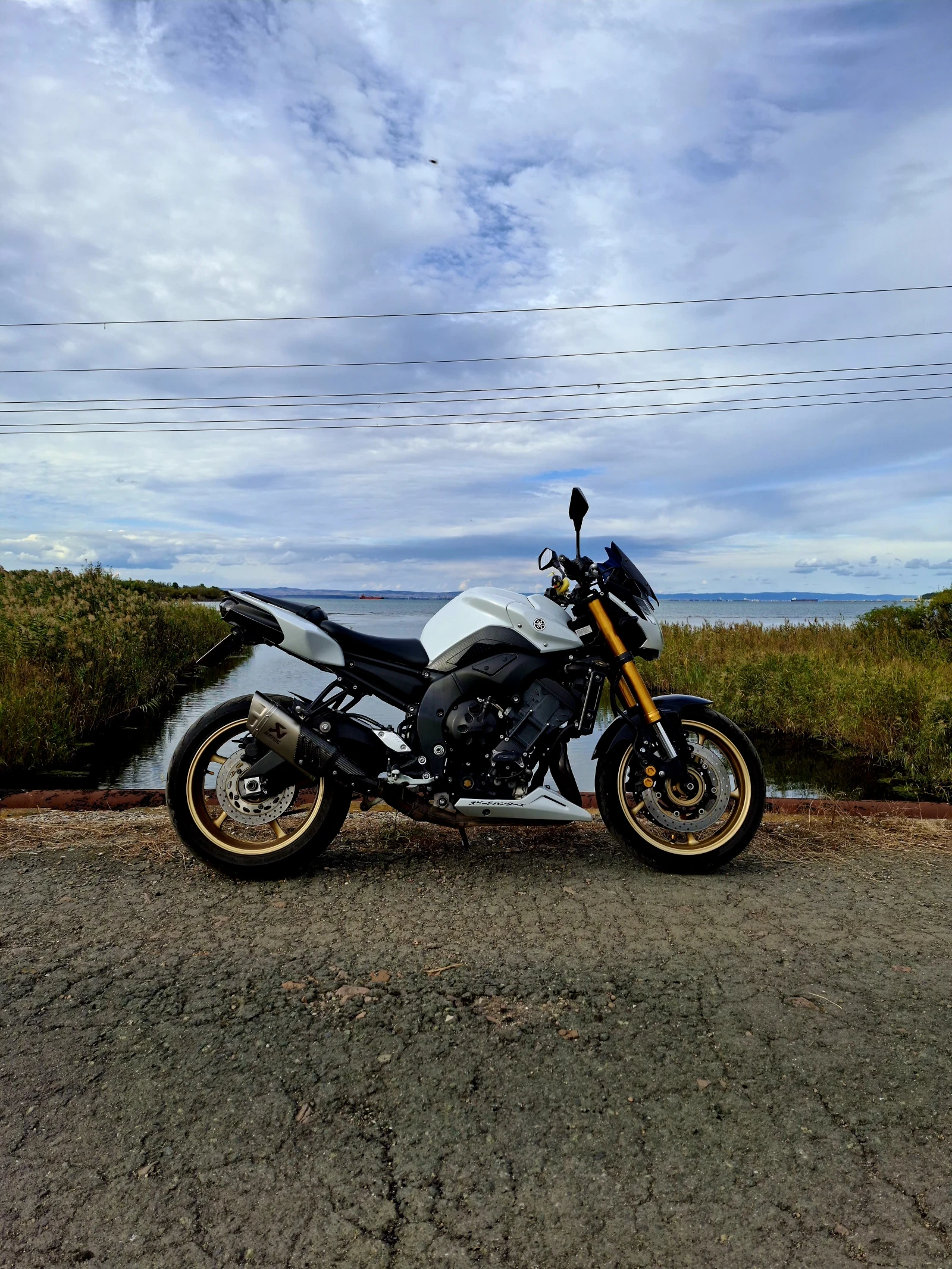 Yamaha FZ8 | Mobile.bg � ����������� 3