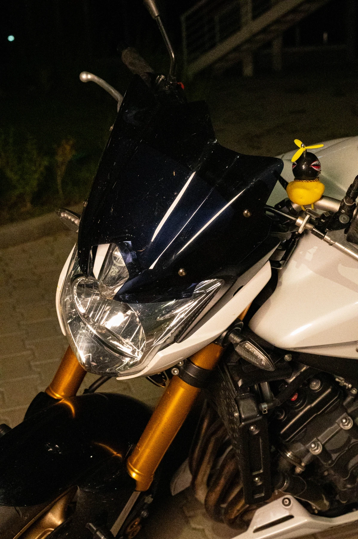 Yamaha FZ8 | Mobile.bg � ����������� 14