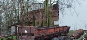 Друг вид Български, снимка 7