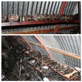 КОЛЯНОВИ ВАЛОВЕ , снимка 10