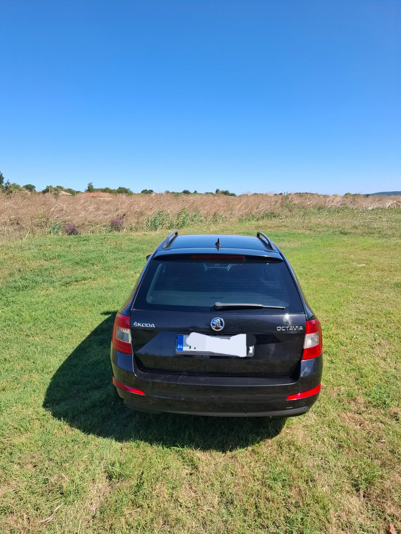 Skoda Octavia, снимка 2 - Автомобили и джипове - 55506751