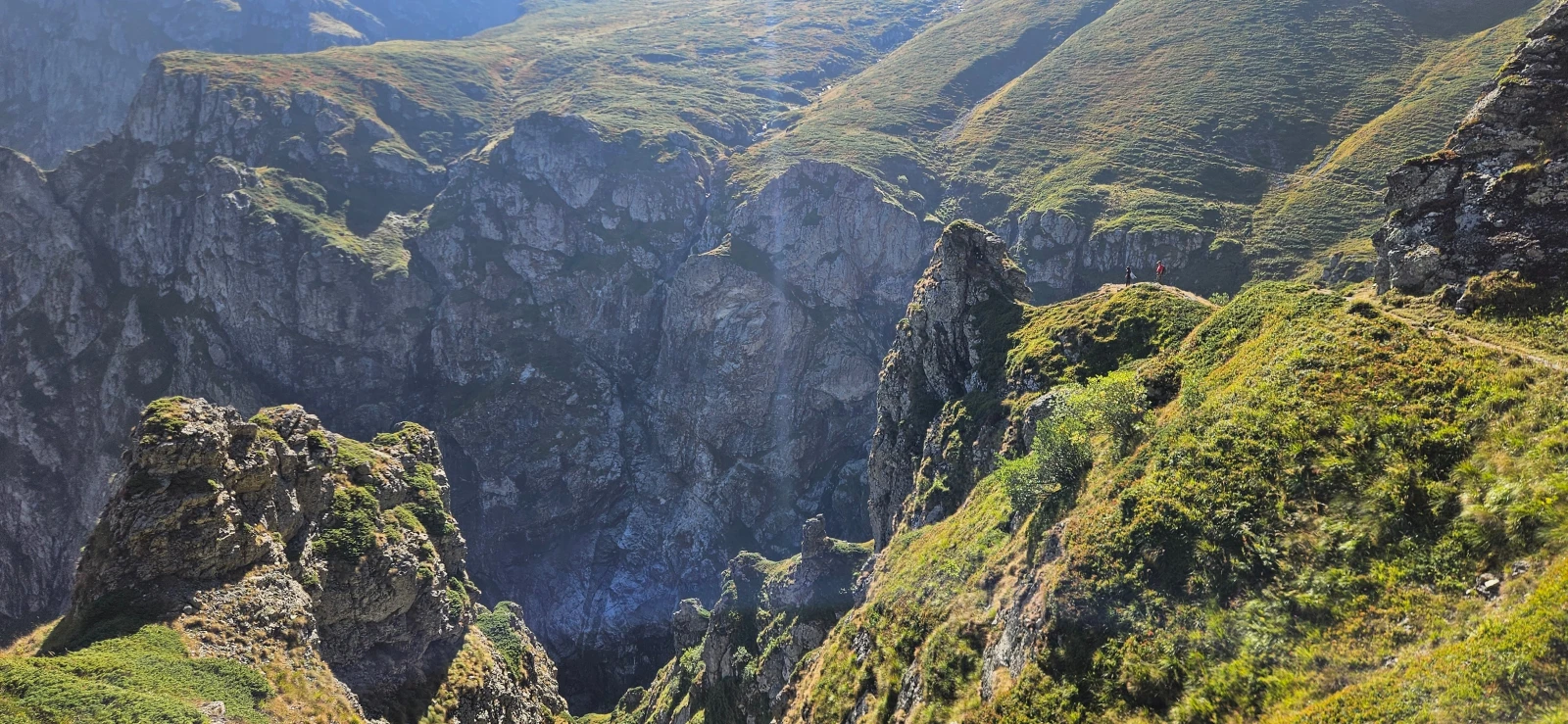 Mercedes-Benz C 220  - изображение 4