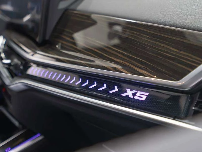 BMW X5 2024 xDrive40i * CARFAX * БЕЗ ПЪРВОНАЧАЛНА ВНОСКА - изображение 9