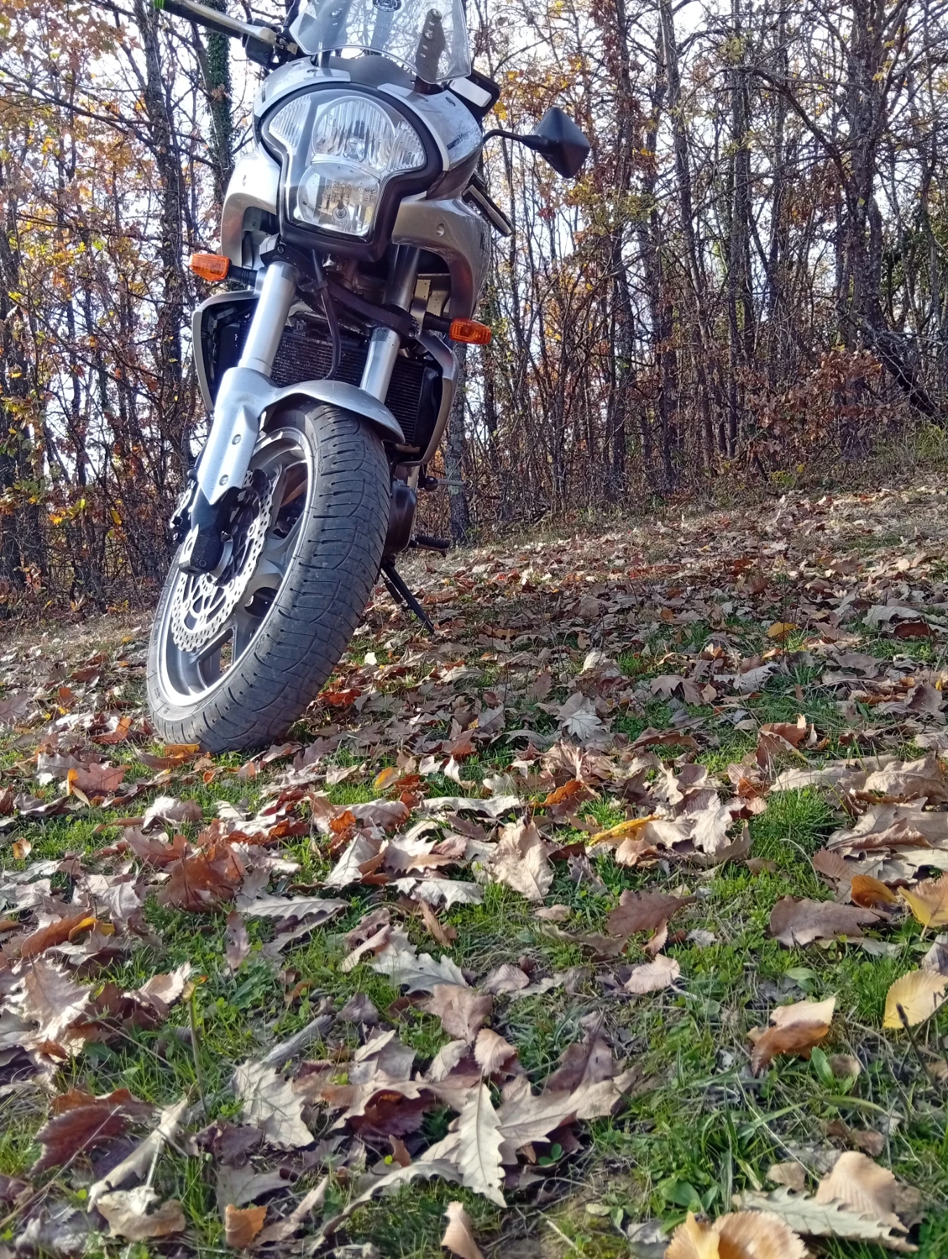 Kawasaki 650  - изображение 2