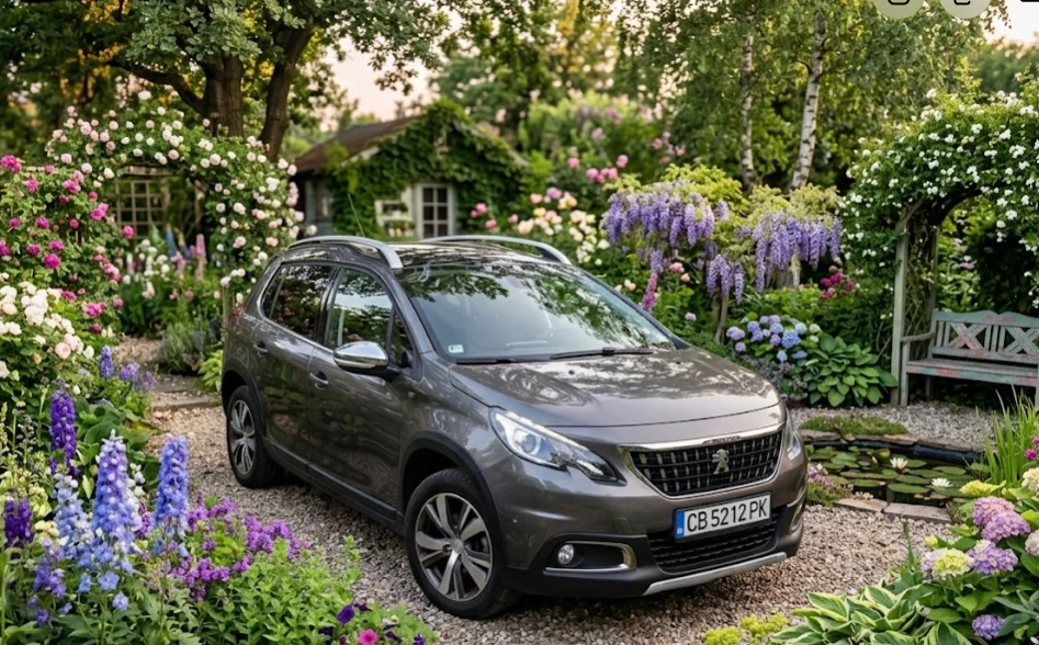 Peugeot 2008 Blue hdi 1.6
