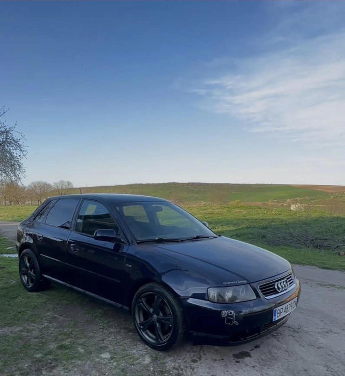 Audi A3 1.9TDI, снимка 6 - Автомобили и джипове - 56378926