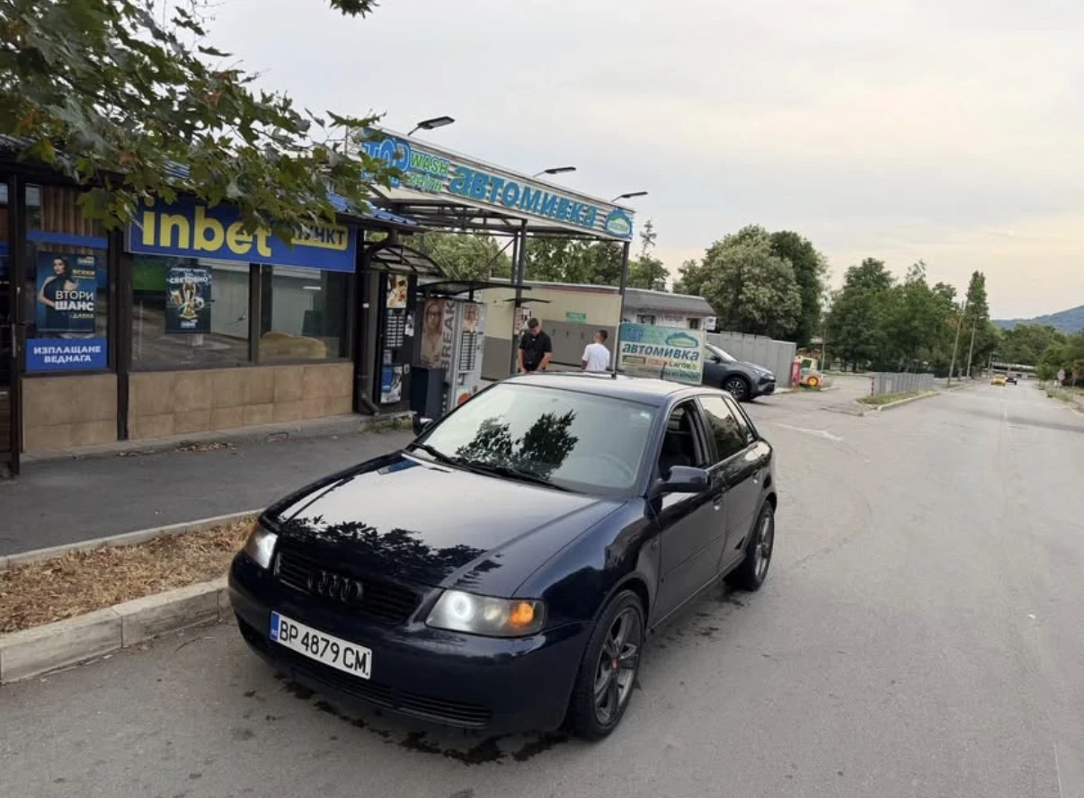Audi A3 1.9TDI, снимка 2 - Автомобили и джипове - 56378926