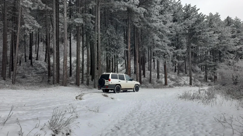 Nissan Terrano 2.4i, снимка 2 - Автомобили и джипове - 52402999