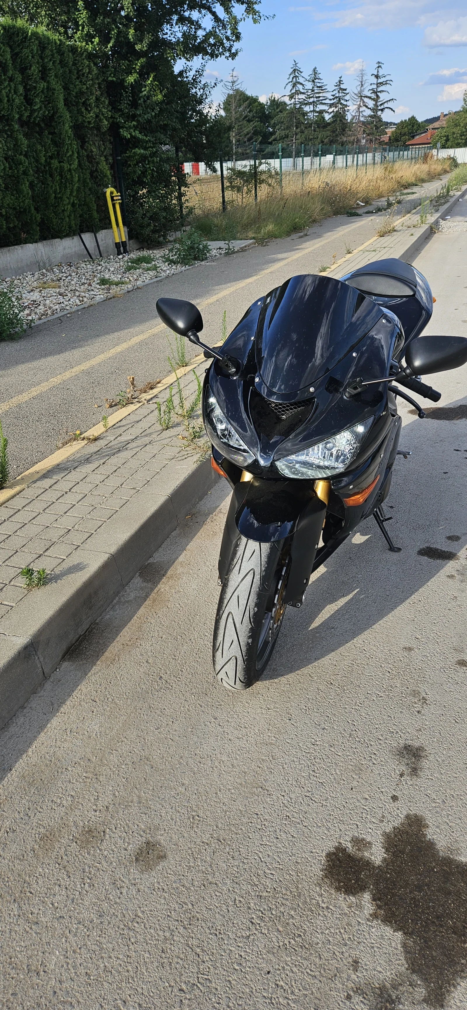 Kawasaki Zxr 636 - изображение 4