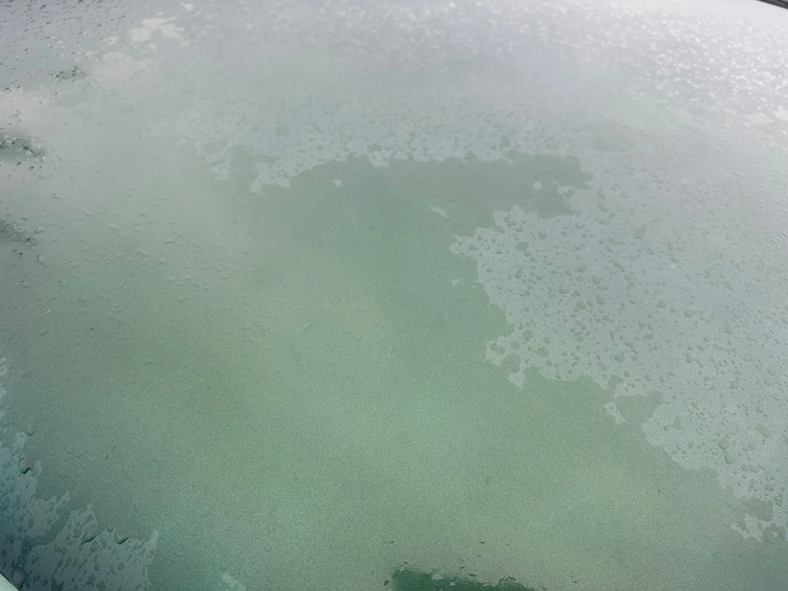 VW Bora 1.6I* KLIMA* SEDAN* REALNI KM*  | Mobile.bg   16