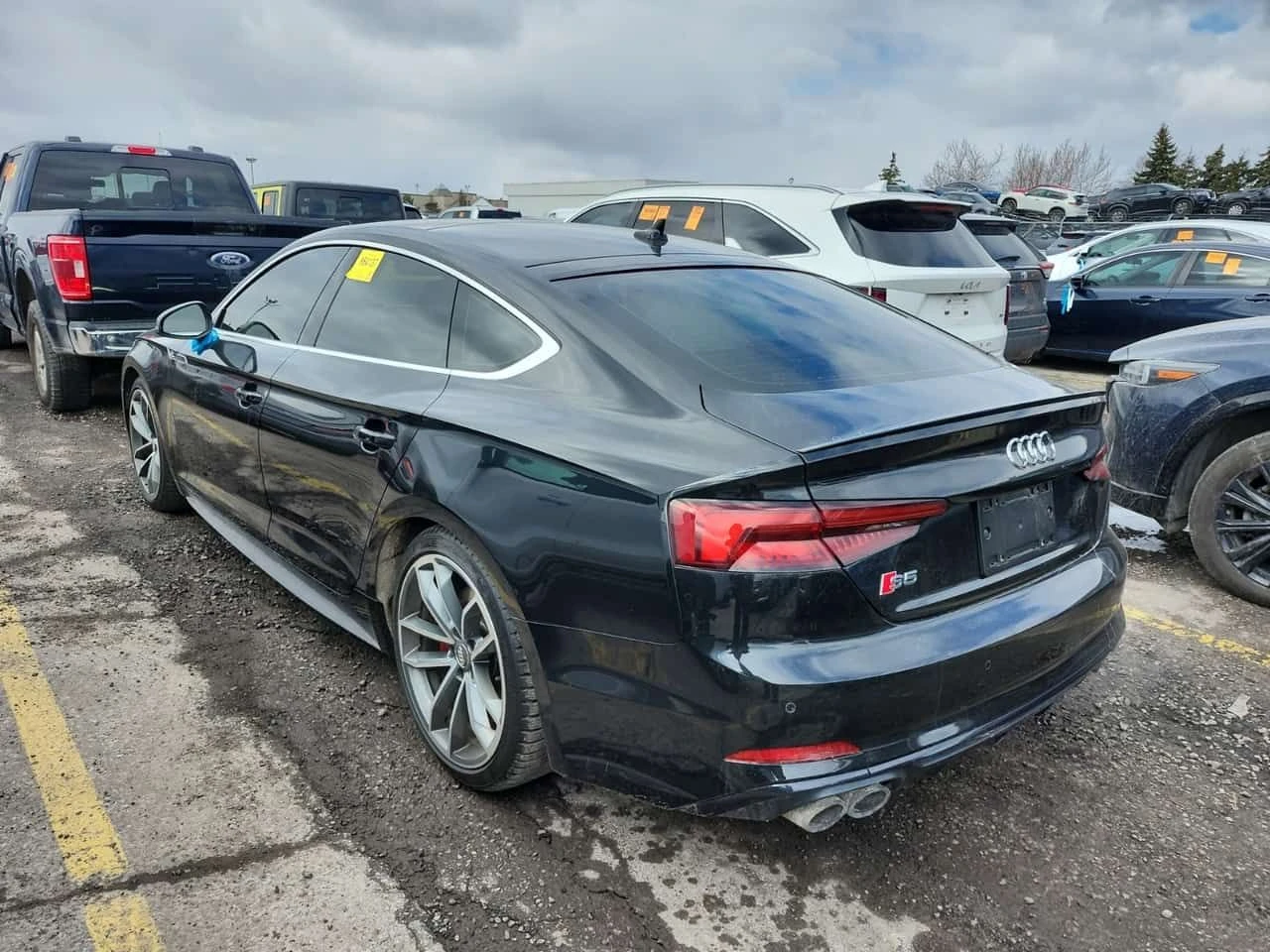 Audi S5 TECHNIK/МАСАЖИ/ЧЕРВЕНА КОЖА/+ ГУМИ/ПАНО/2 КЛЮЧА, снимка 4 - Автомобили и джипове - 54019763