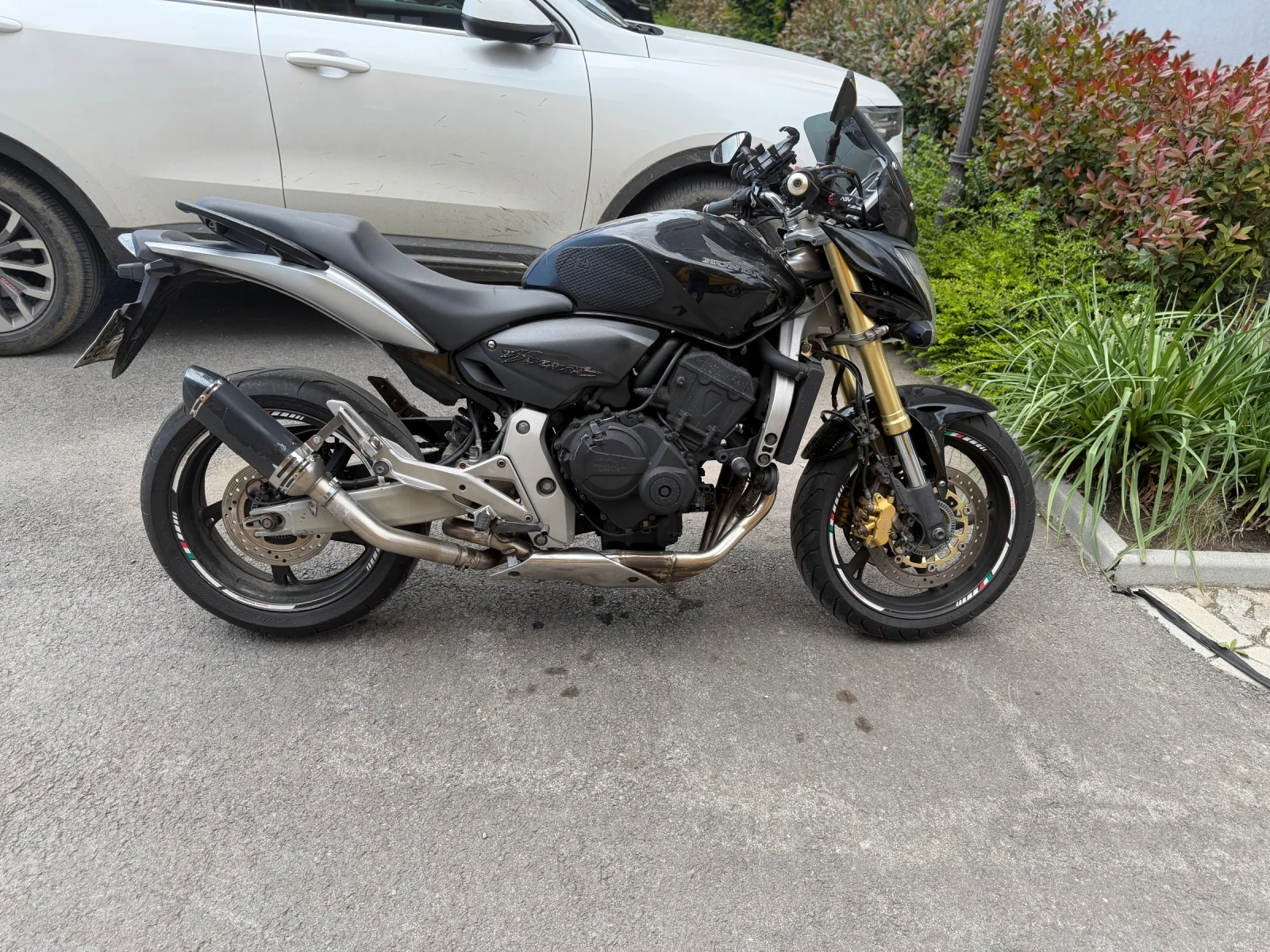Honda Hornet