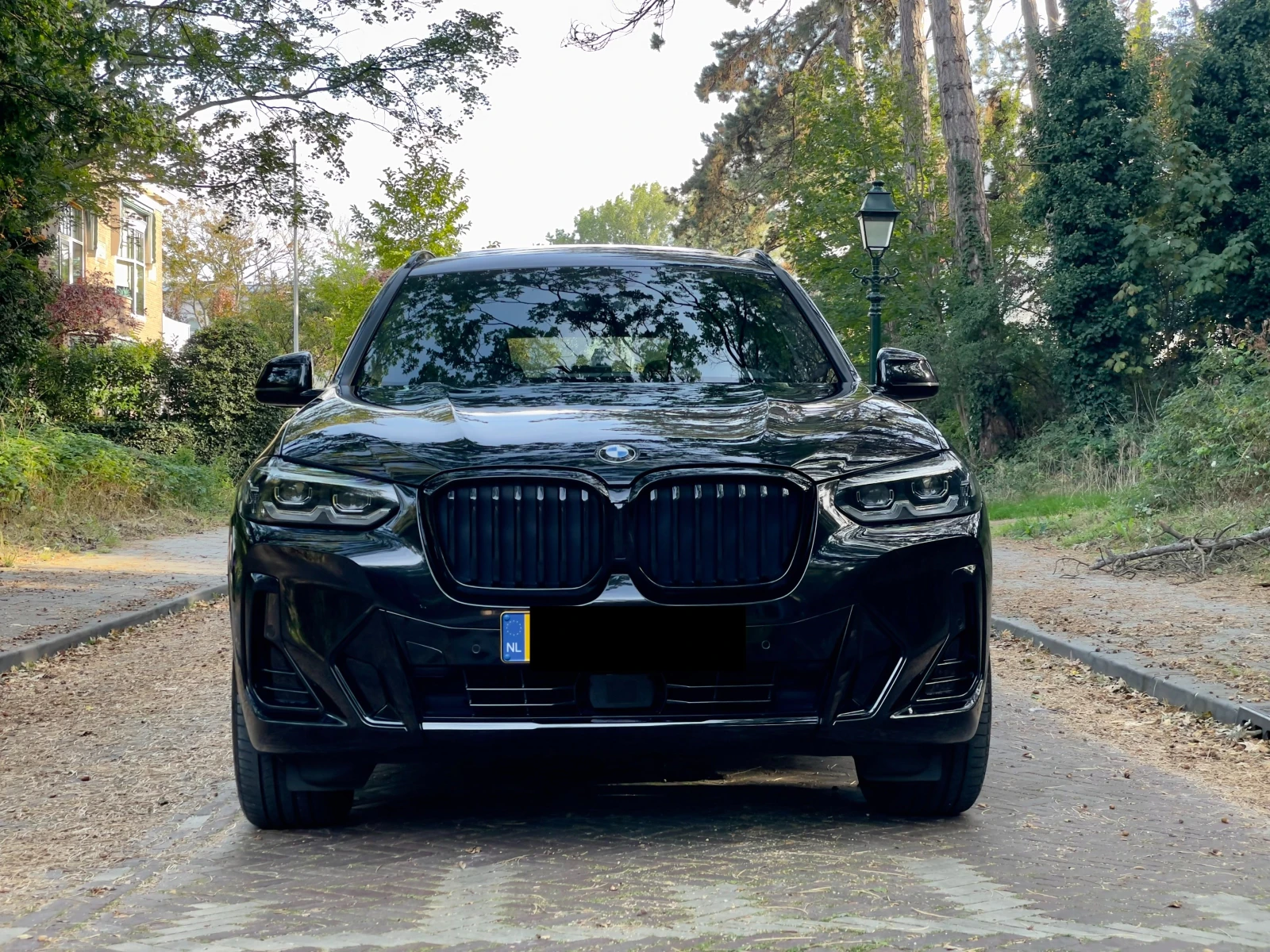 BMW X3 xDrive20i - MSport, PANO, NAVI, High Executive | Mobile.bg � ����������� 1
