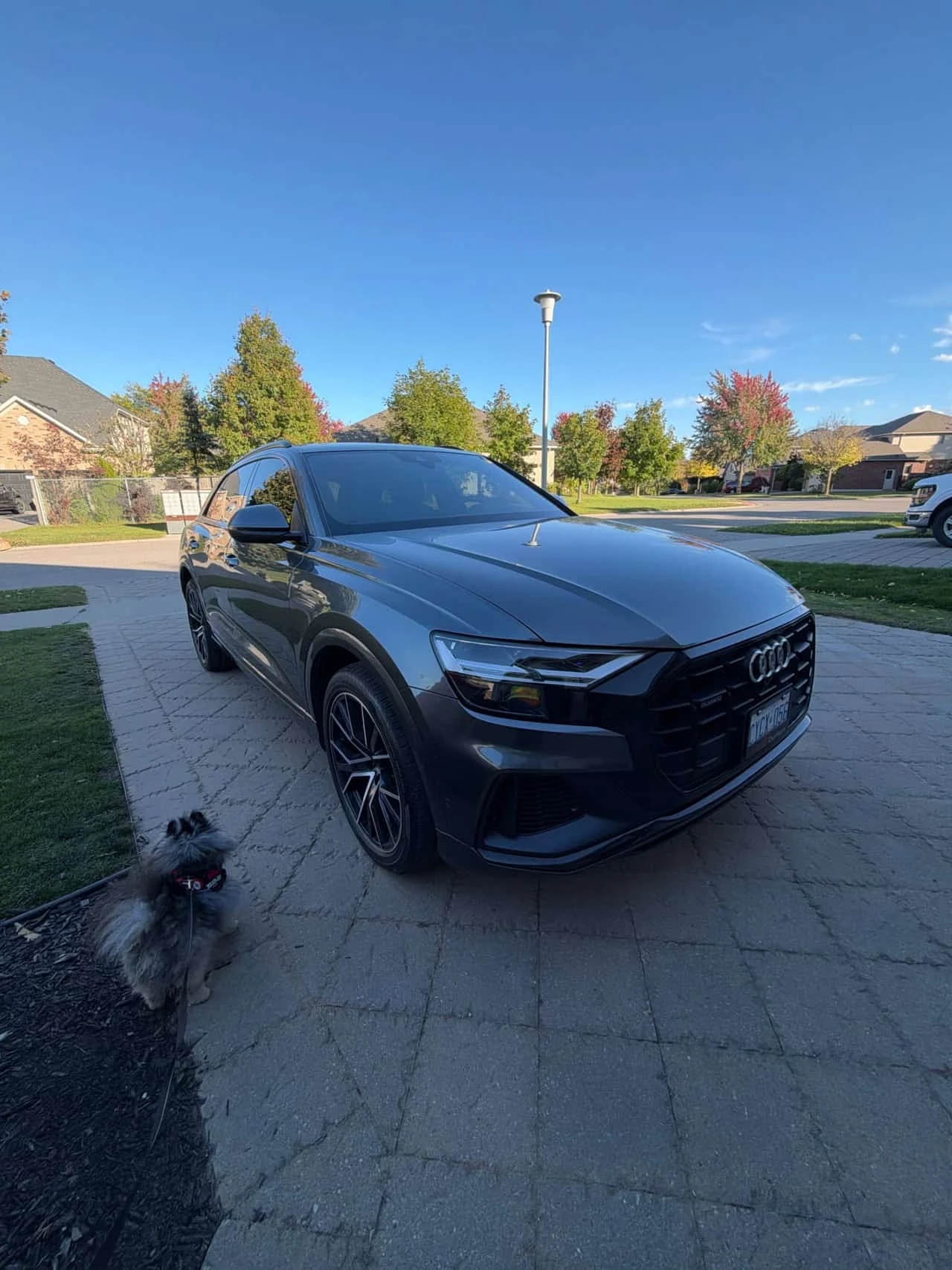 Audi Q8 * Progressiv * BLACK OPTICS * DAYTONA GRAY * CARFA
