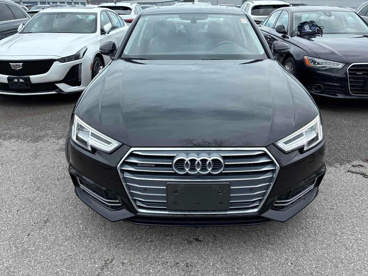 Audi A4 | Technik | B&O | 360 | ПОДГРЕВ | ШИБЕДАХ | , снимка 6 - Автомобили и джипове - 54373515