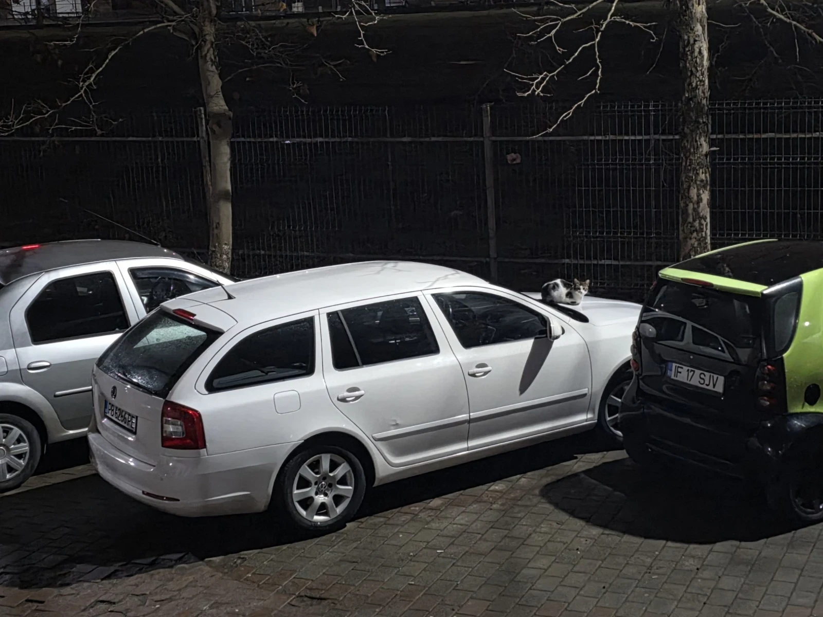 Skoda Octavia, снимка 3 - Автомобили и джипове - 54947192