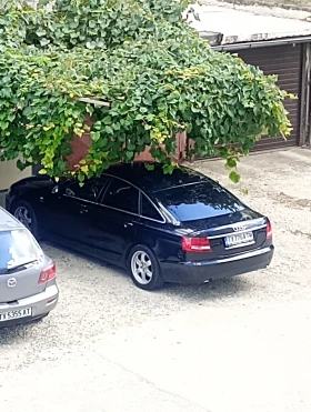 Audi A6  | Mobile.bg    15