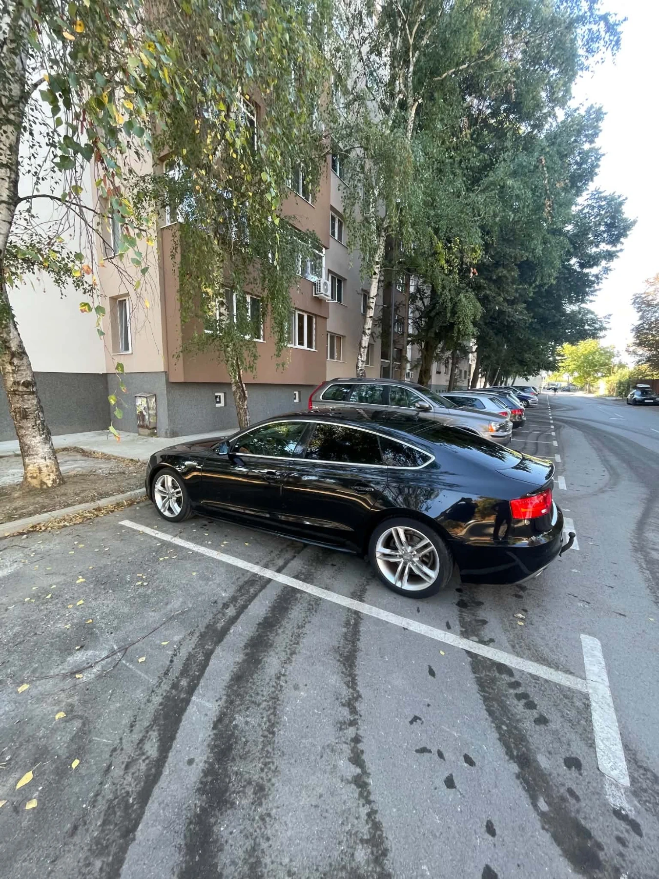 Audi A5 3.0Tdi S-Line, снимка 4 - Автомобили и джипове - 56115117