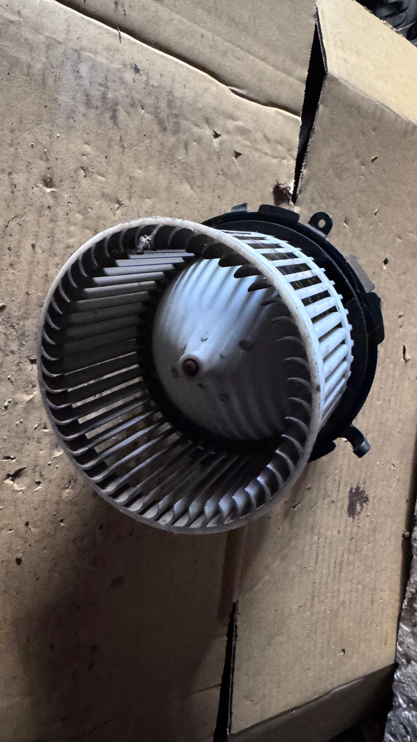 ���������� �� ����� �a Fiat 500 - 5A0231000 | Mobile.bg � ����������� 1