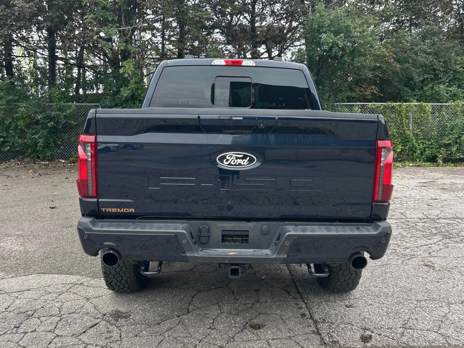 Ford F150 * Tremor * CARFAX * ОПЦИЯ ЗА ФИНАНСИРАНЕ , снимка 4 - Автомобили и джипове - 55940281