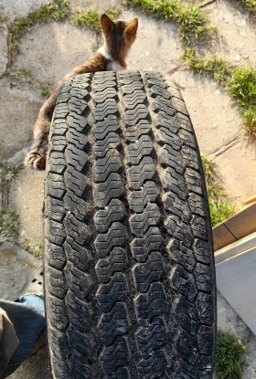  225/70R15 | Mobile.bg    2