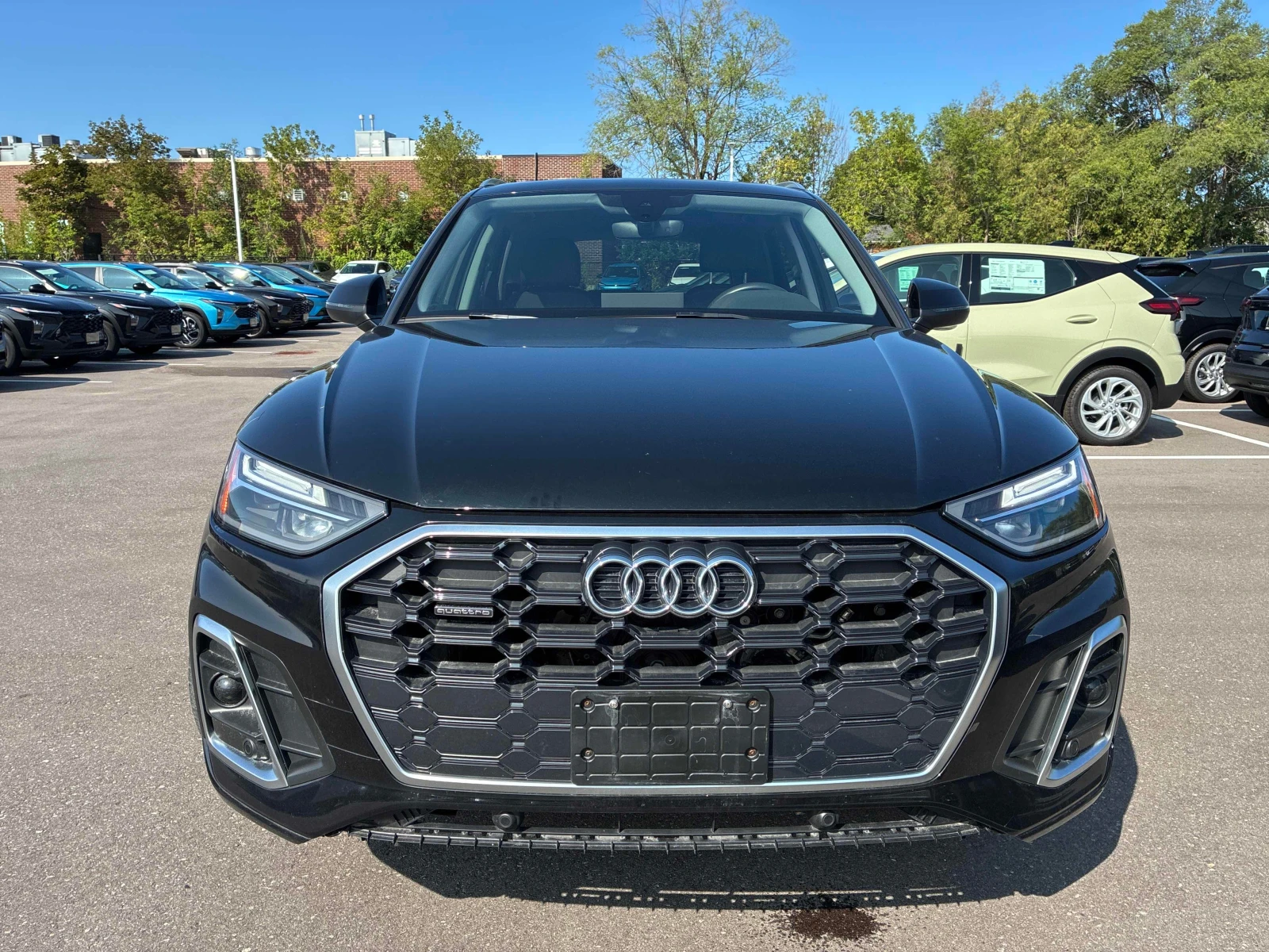 Audi Q5 * Progressiv * CARFAX * ОПЦИЯ ЗА ФИНАНСИРАНЕ, снимка 5 - Автомобили и джипове - 56066512