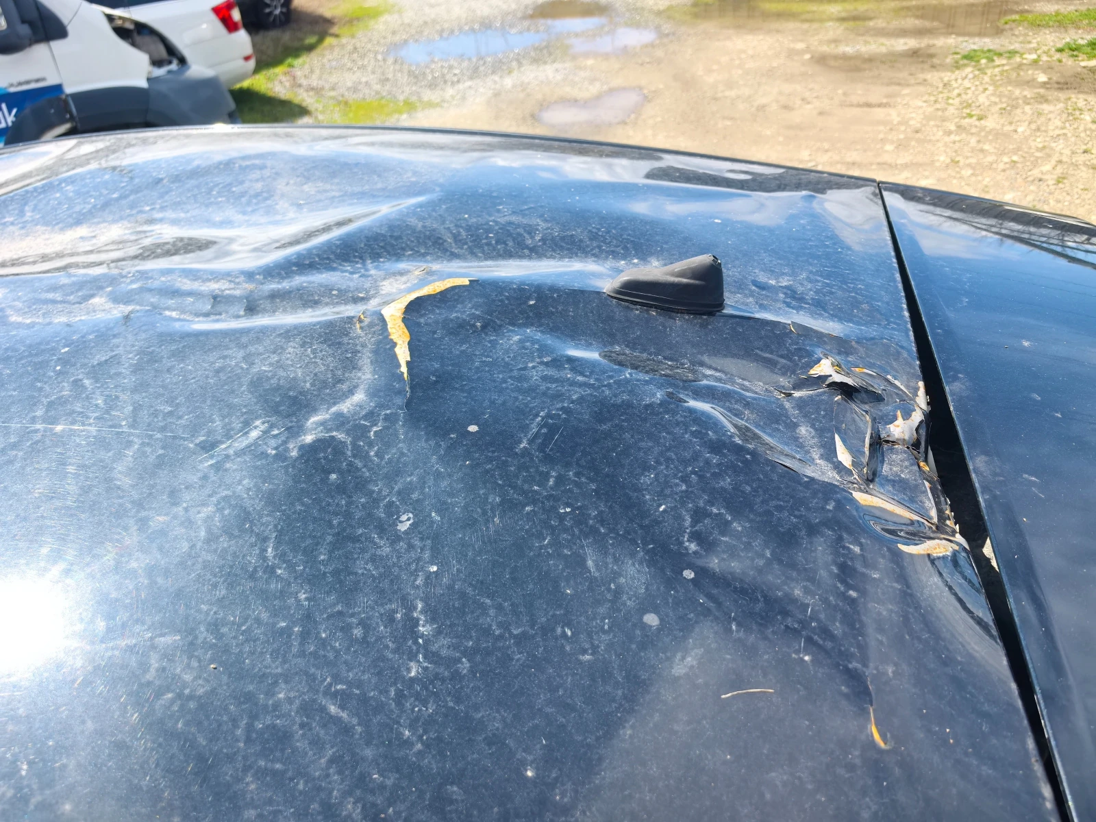 Citroen DS4 1.6HDI 114kc | Mobile.bg � ����������� 11