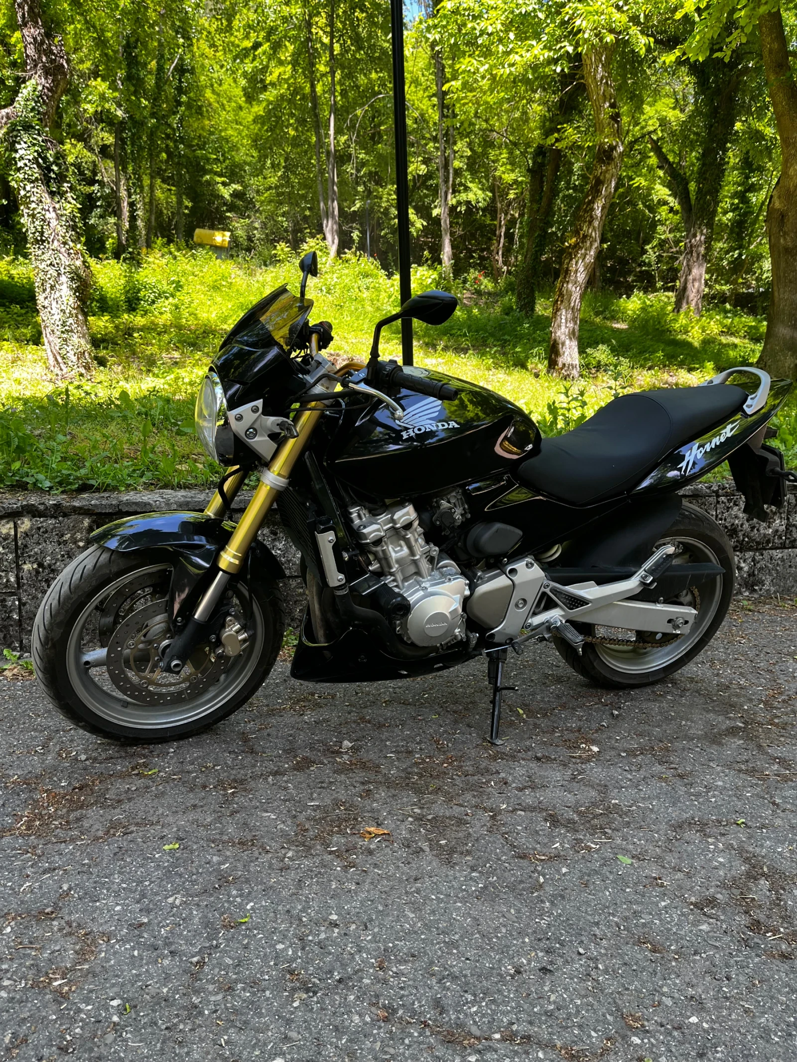 Honda Hornet