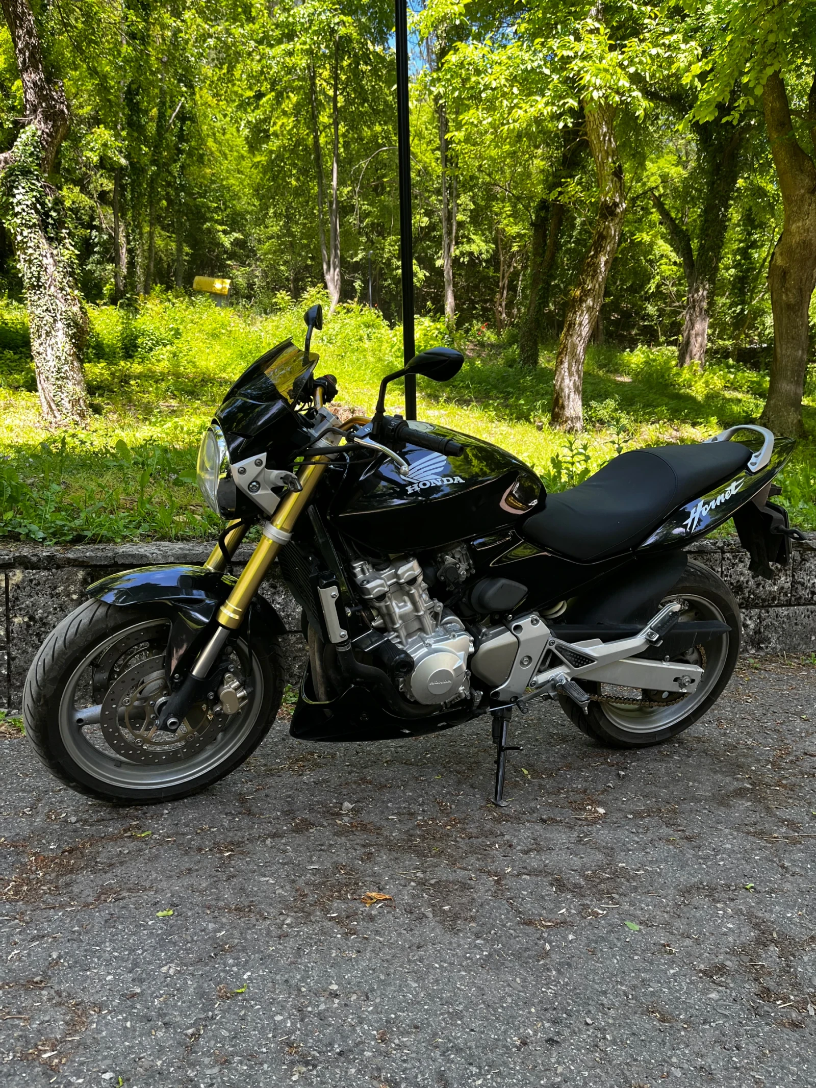 Honda Hornet, снимка 7 - Мотоциклети и мототехника - 54719685