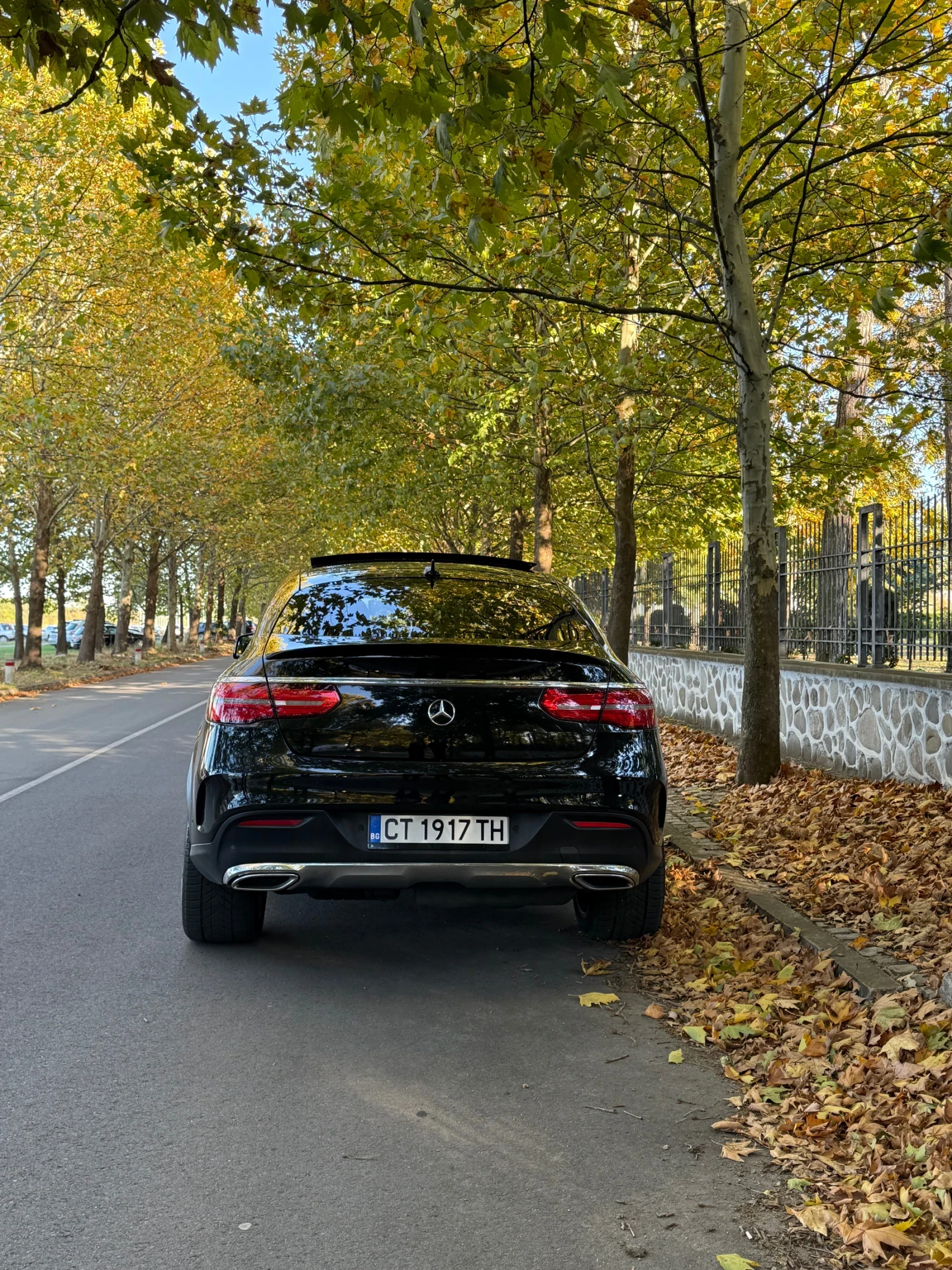 Mercedes-Benz GLE 350  - изображение 5