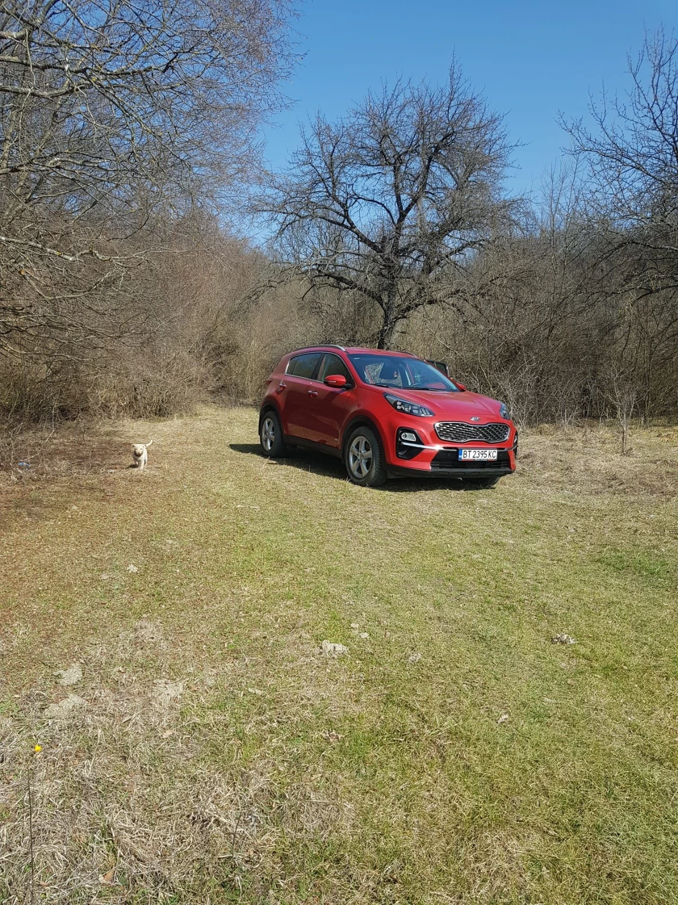 Kia Sportage, снимка 3 - Автомобили и джипове - 55649811