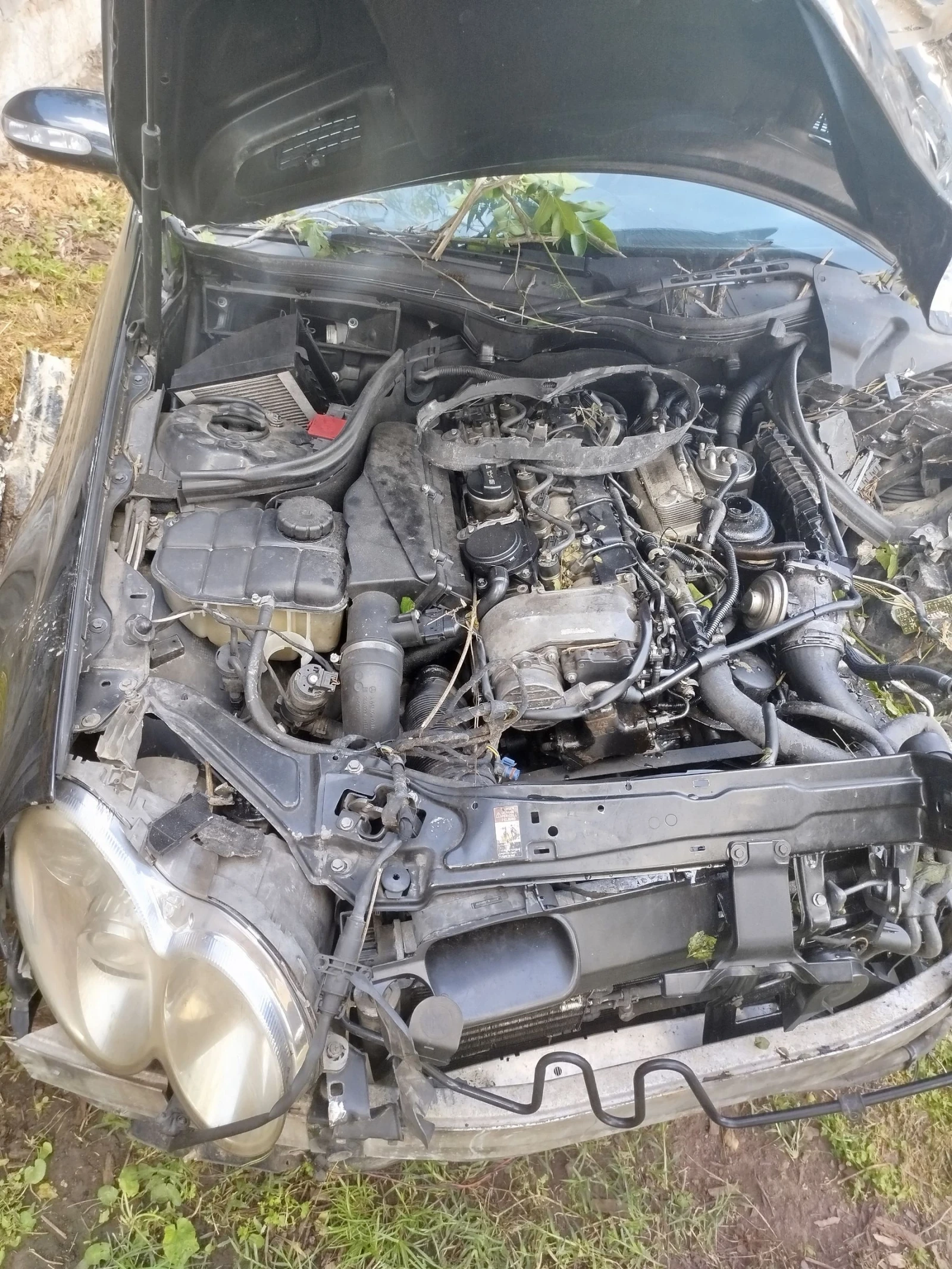 Mercedes-Benz CLK, снимка 17 - Автомобили и джипове - 54595035