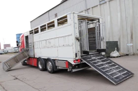 Scania R 490  | Mobile.bg    6